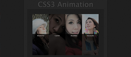 Animation